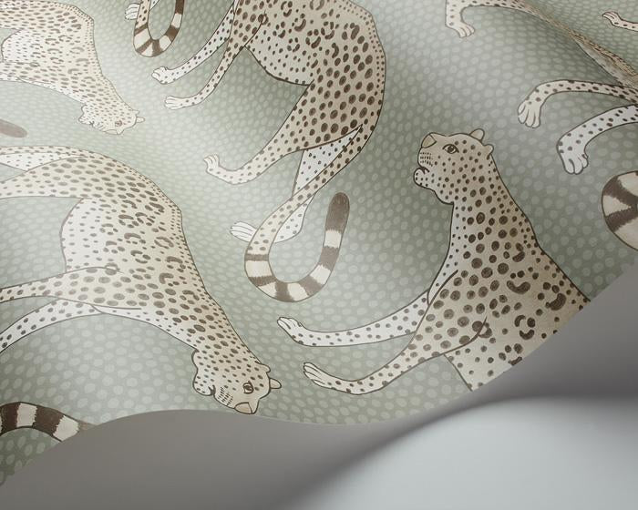 Cole & Son Leopard Walk 109/2009 Wallpaper