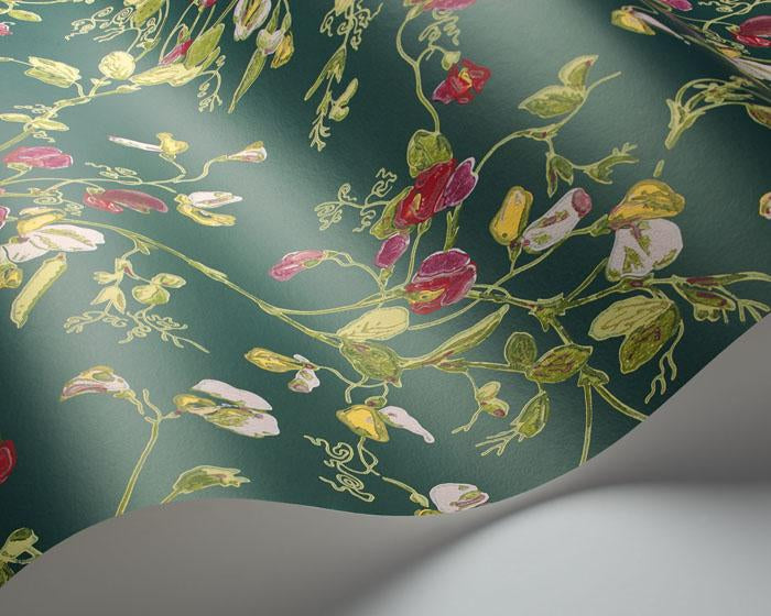 Cole & Son Sweet Pea 115/11033 Wallpaper