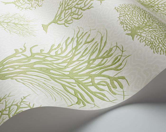 Cole & Son Seafern 107/2008 Wallpaper