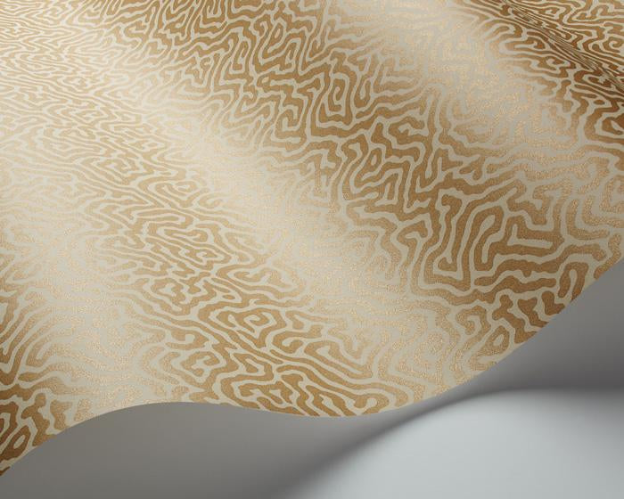 Cole & Son Vermicelli 107/4021 Wallpaper