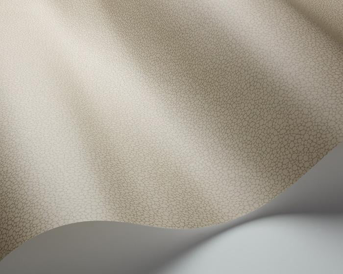 Cole & Son Pebble 106/2020 Wallpaper