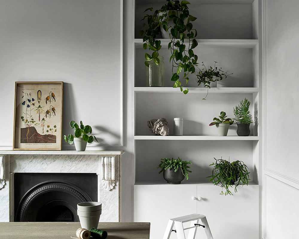 Paint & Paper Library Clean White paint in a dining room