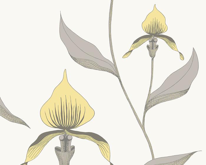 Cole & Son Orchid 95/10057 Wallpaper