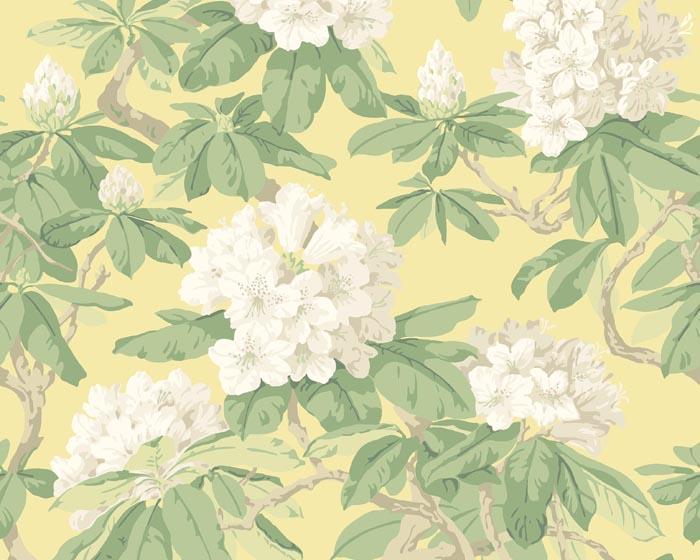 Cole & Son Bourlie 99/4021 Wallpaper