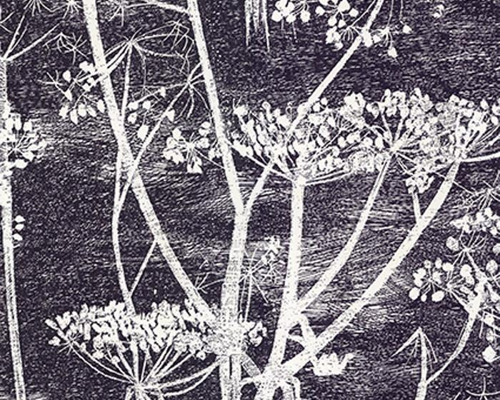 Cole & Son Cow Parsley 66/7046 Wallpaper