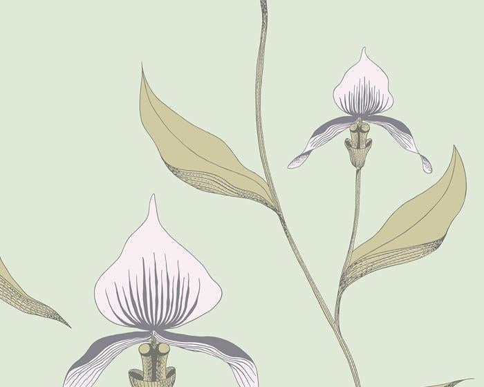 Cole & Son Orchid 66/4028 Wallpaper