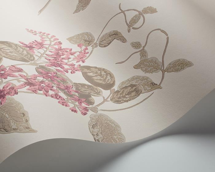 Cole & Son Madras Violet 100/12058 Wallpaper
