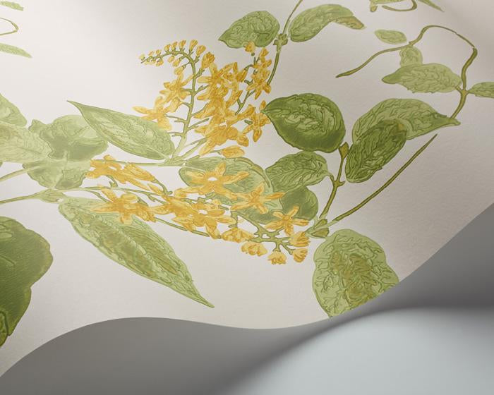 Cole & Son Madras Violet 100/12059 Wallpaper
