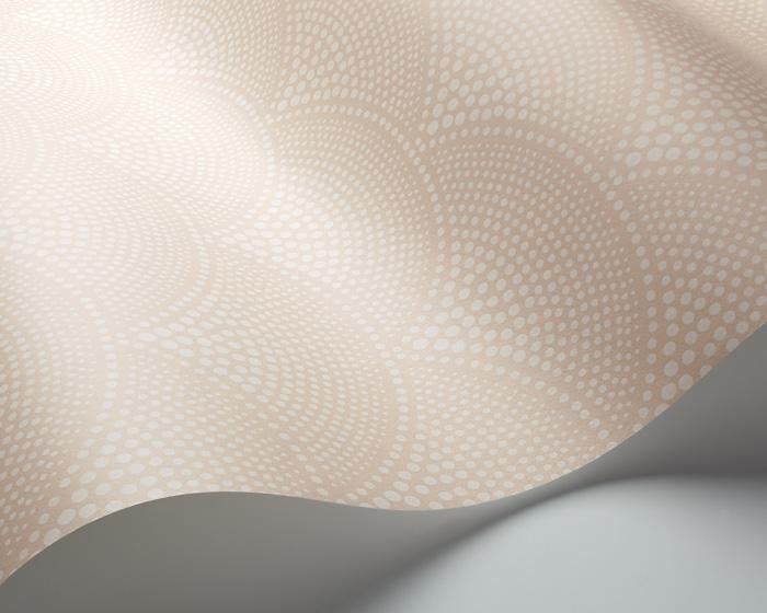 Cole & Son Feather Fan 112/10035 Wallpaper