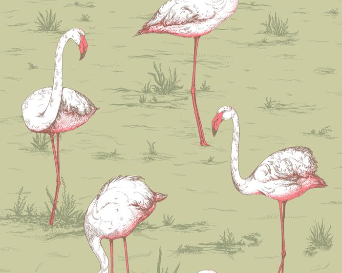Cole & Son Flamingos 112/11038 Wallpaper