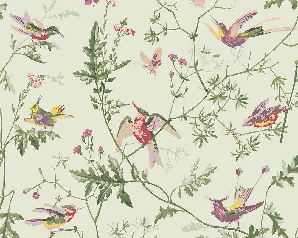 Cole & Son Hummingbirds Wallpaper