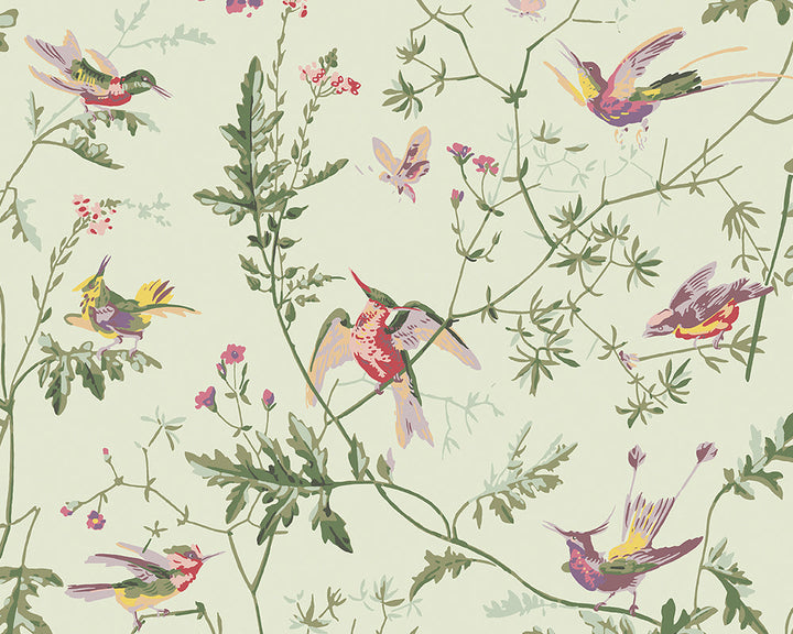 Cole & Son Hummingbirds Wallpaper