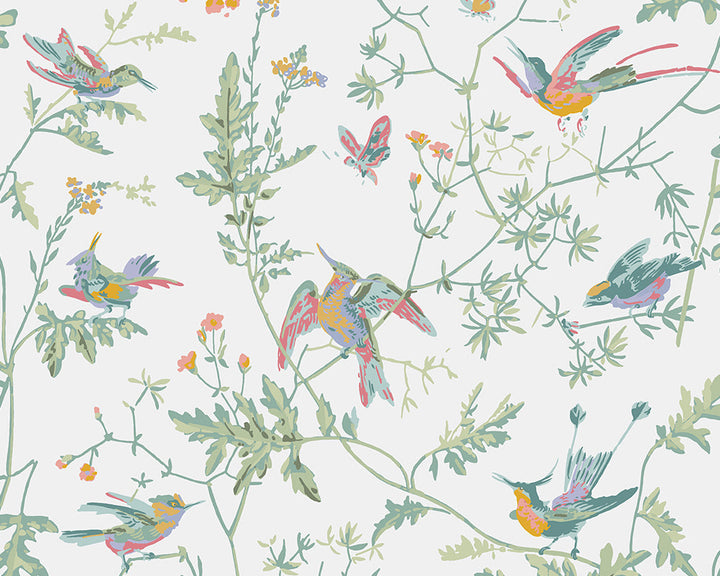 Cole & Son Hummingbirds Wallpaper