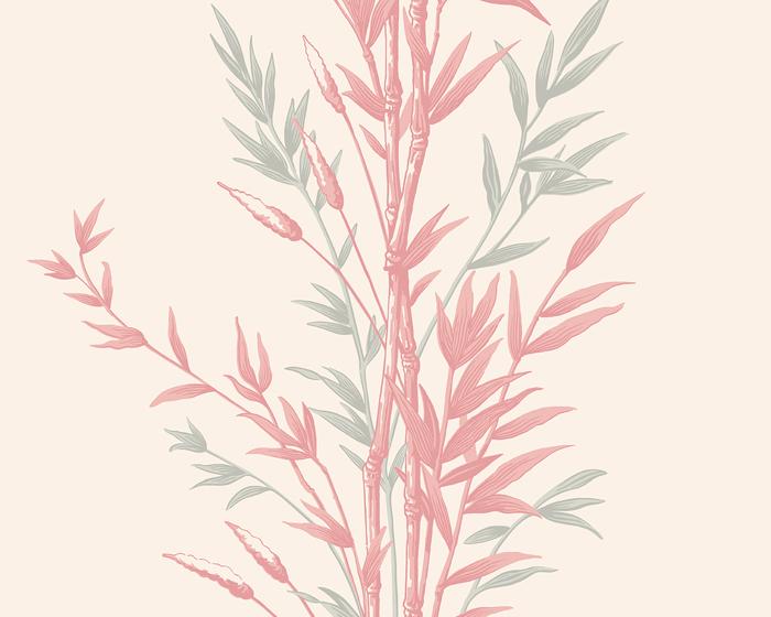 Cole & Son Bamboo 100/5024 Wallpaper