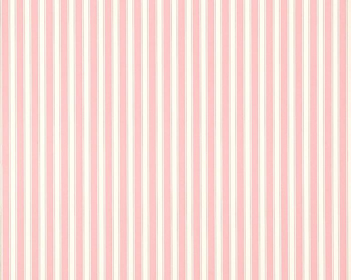 Sanderson New Tiger Stripe Rose/Ivory DCAVTP101 Wallpaper