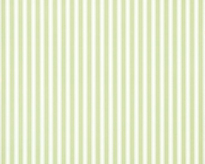 Sanderson New Tiger Stripe Leaf Green/Ivory DCAVTP103 Wallpaper