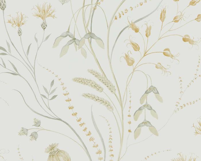 Sanderson Summer Harvest Silver Corn 216497 Wallpaper