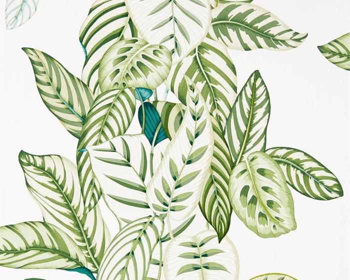 Sanderson Calathea Botanical Green 216630 Wallpaper