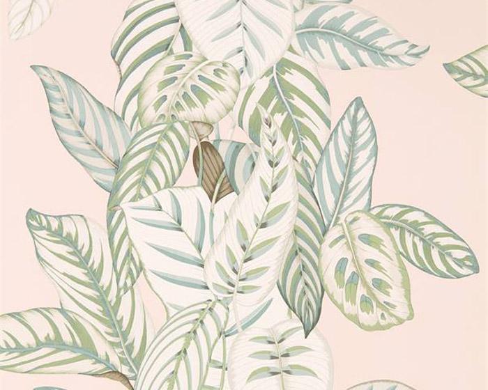 Sanderson Calathea Orchid/Eucalyptus 216632 Wallpaper