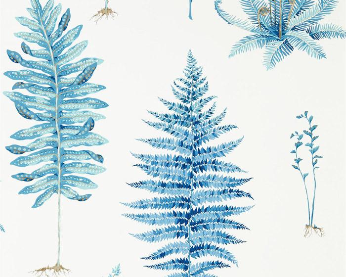 Sanderson Fernery China Blue 216635 Wallpaper