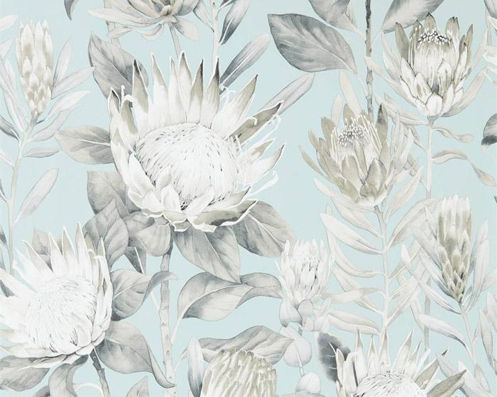 Sanderson King Protea Aqua/Linen 216645 Wallpaper