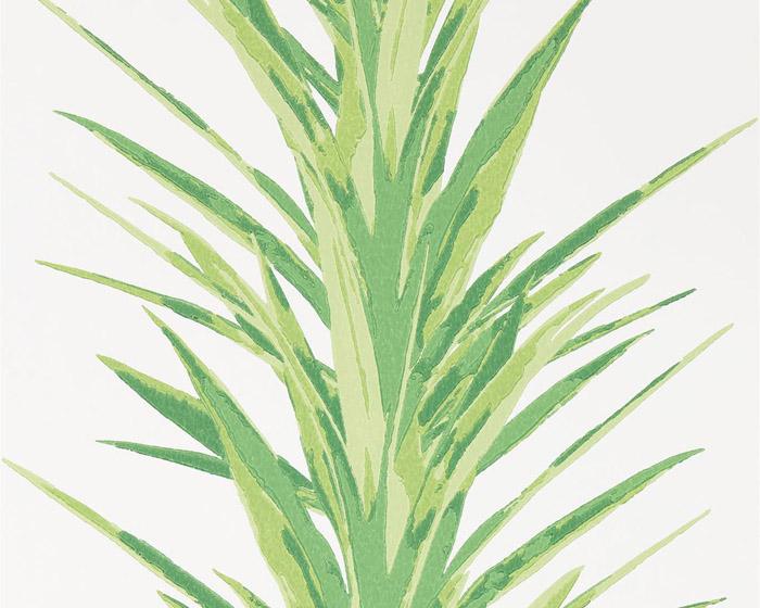 Sanderson Yucca Botanical Green 216649 Wallpaper