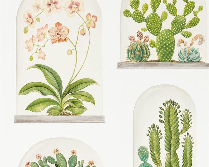 Sanderson Terrariums Chalk/Green 216655 Wallpaper