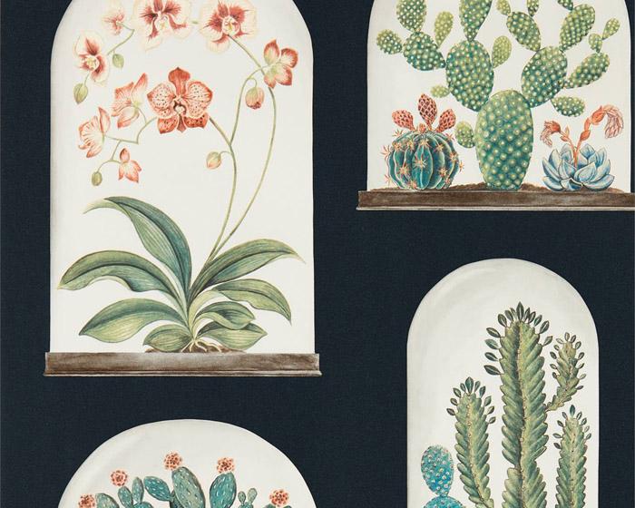 Sanderson Terrariums Ink/Multi 216658 Wallpaper