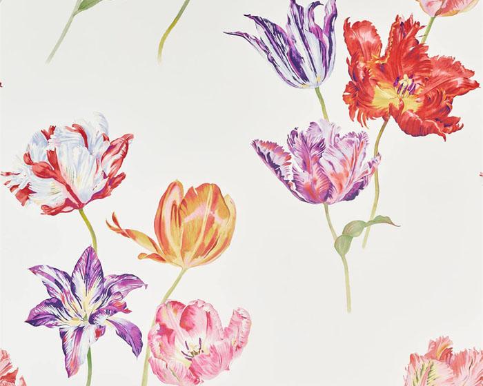 Sanderson Tulipomania Botanical 216666 Wallpaper