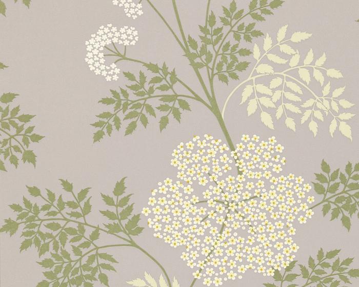 Sanderson Cowparsley Amethyst DOPWCO103 Wallpaper