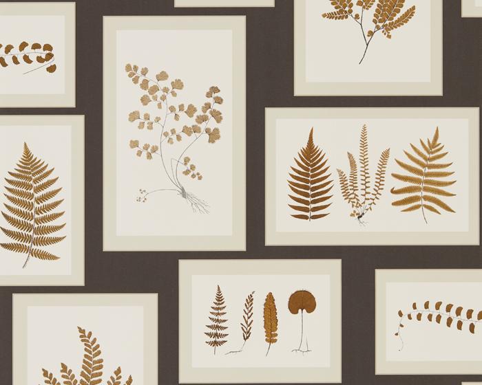 Sanderson Fern Gallery Charcoal/Spice 215713 Wallpaper