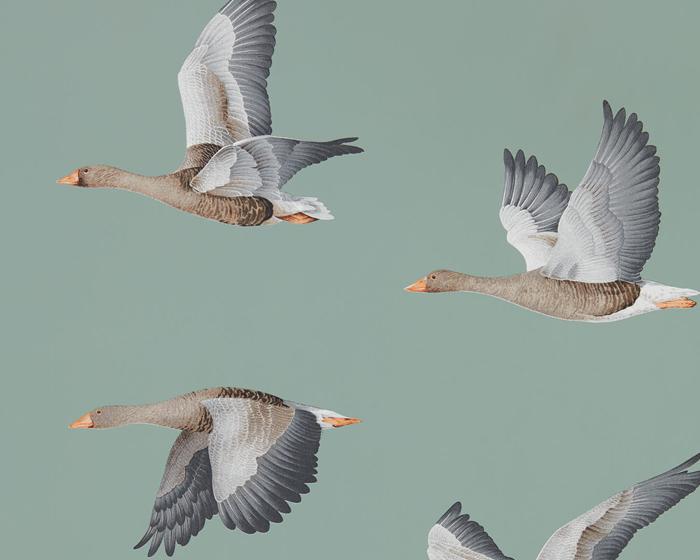Sanderson Wallpapers Elysian Geese Blue Clay 216610 Wallpaper