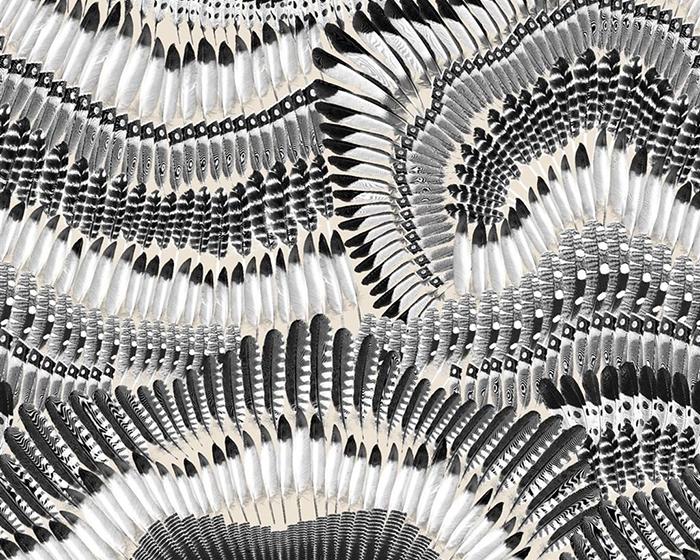 Designers Guild Prête Moi Ta Plume Jais by Christian Lacroix Wallpaper PCL7033/03