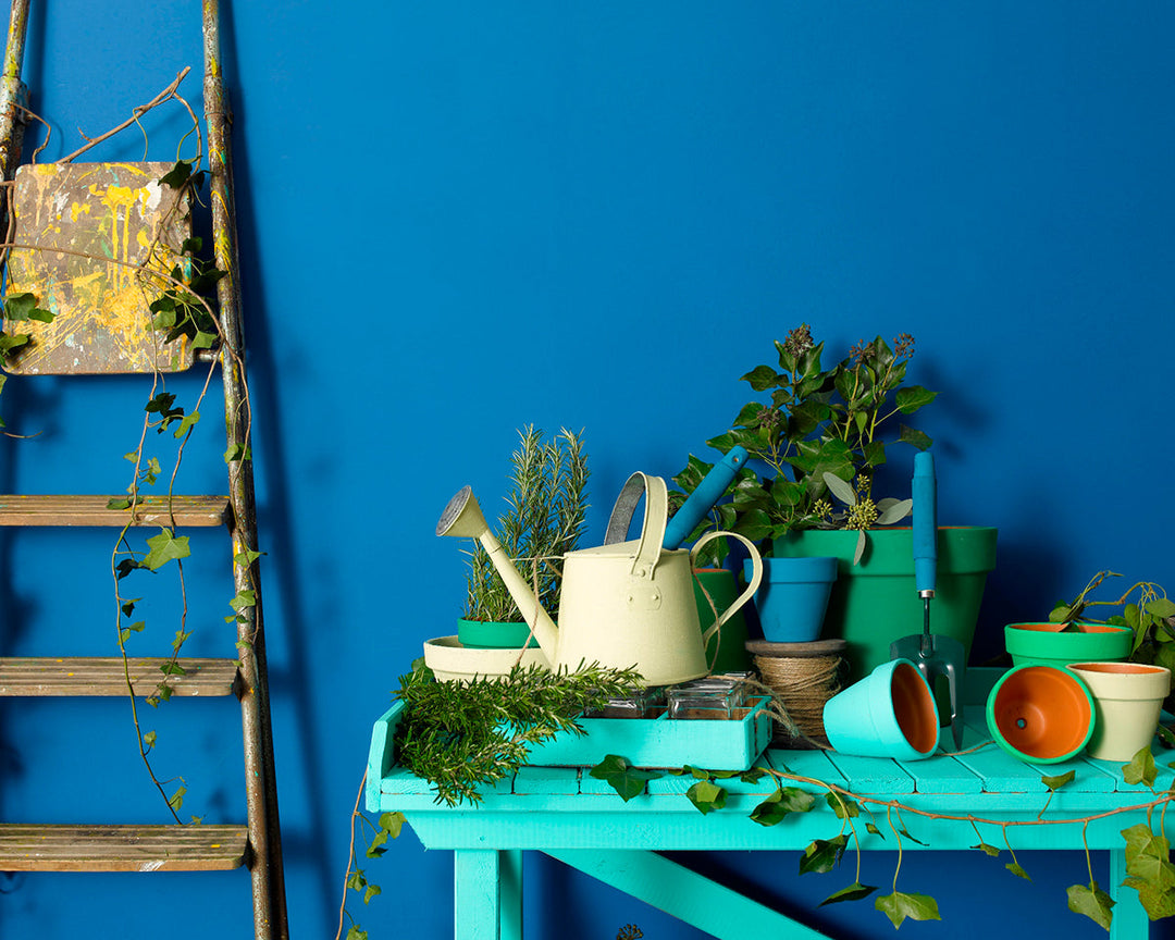 Earthborn The Lido Paint on Furniture