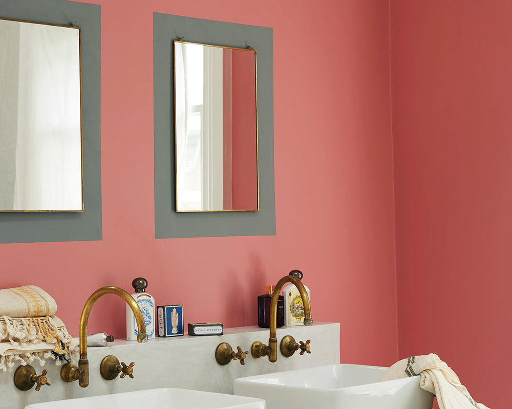 Earthborn Delilah Paint in Room