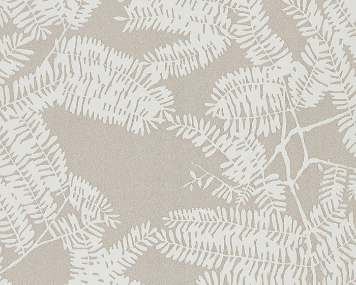 Harlequin Crystal Extravagance Champagne