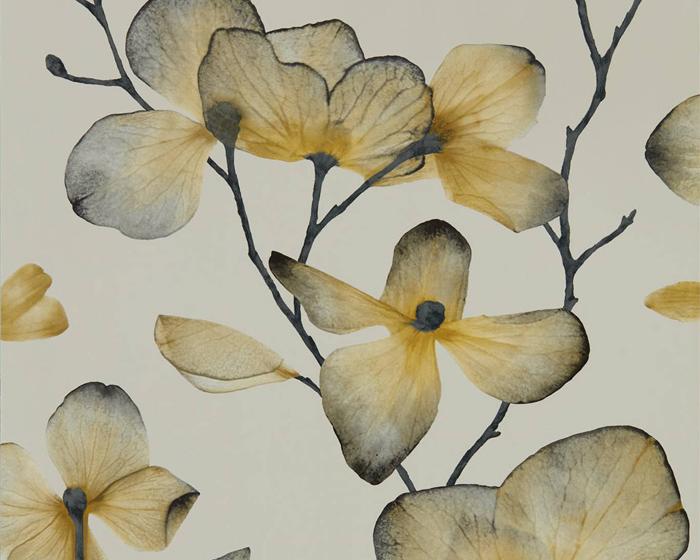 Harlequin Kienze Ochre/Steel 111958 Wallpaper