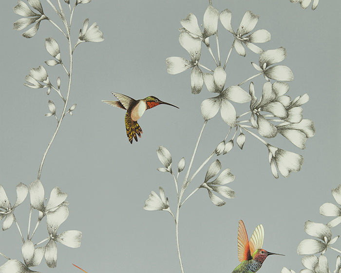 Harlequin Amazilia Grey/Stone Wallpaper