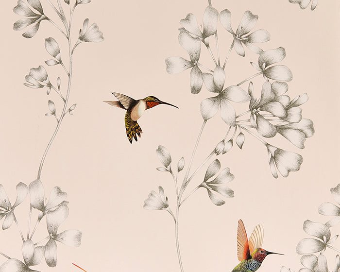 Harlequin Amazilia Powder/Pearl Wallpaper