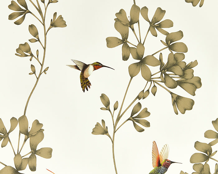 Harlequin Amazilia Stone/Gold Wallpaper