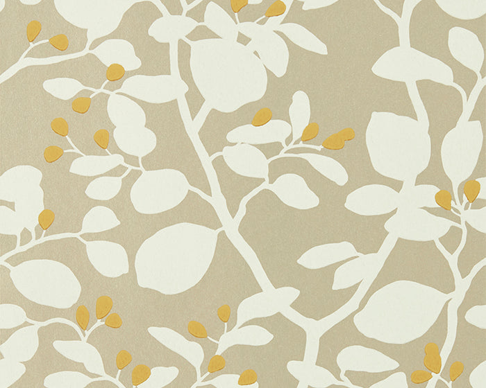 Harlequin Ardisia Soft Focus/Oyster/Gold Wallpaper