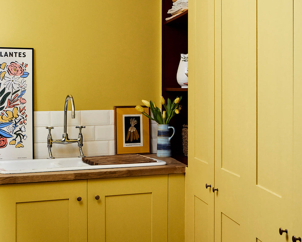 Mylands Haymarket 47 Paint in a kitchen