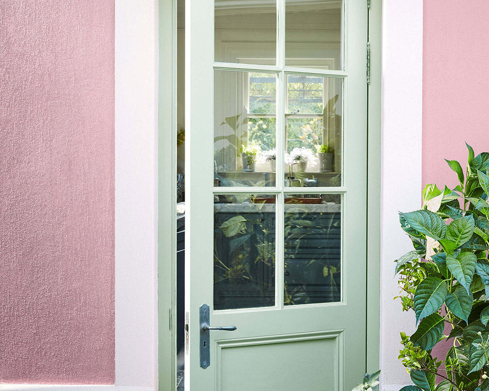 Little Greene Salix 99 Paint on a door