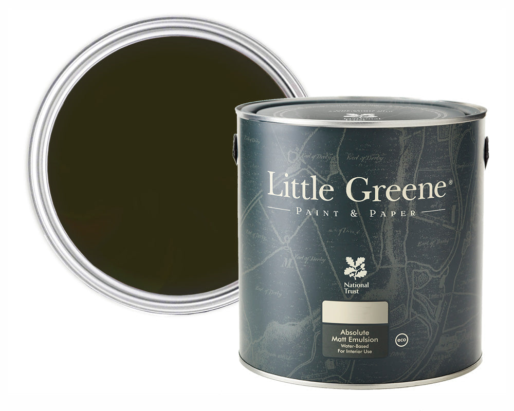 Little Greene Sample Absolute Matt Emulsion Paint Invisible Green