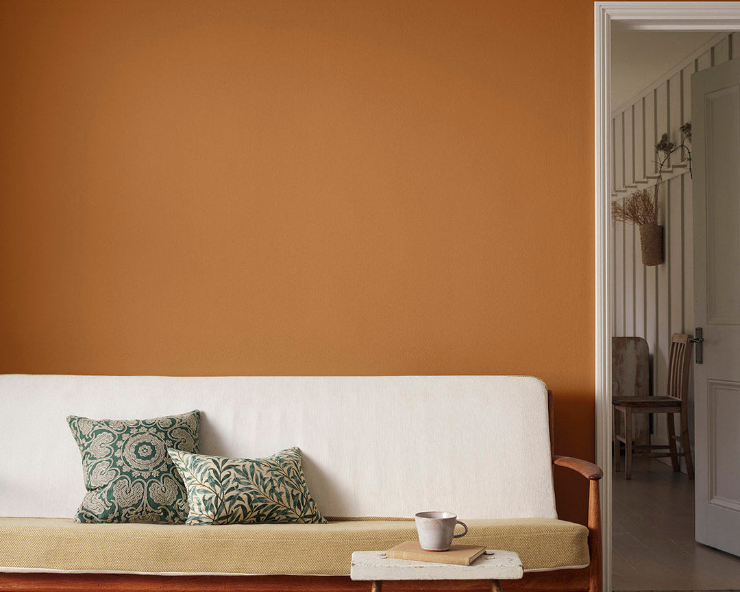 Morris & Co Sussex Rush Paint in Room