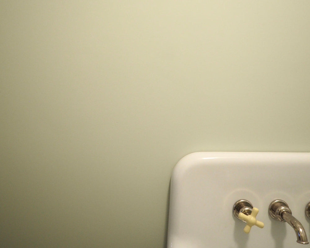 Mylands Mint Street 95 Paint on Walls