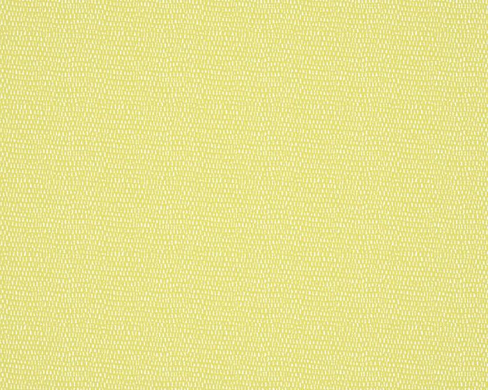 Scion Totak Kiwi 112613 Wallpaper