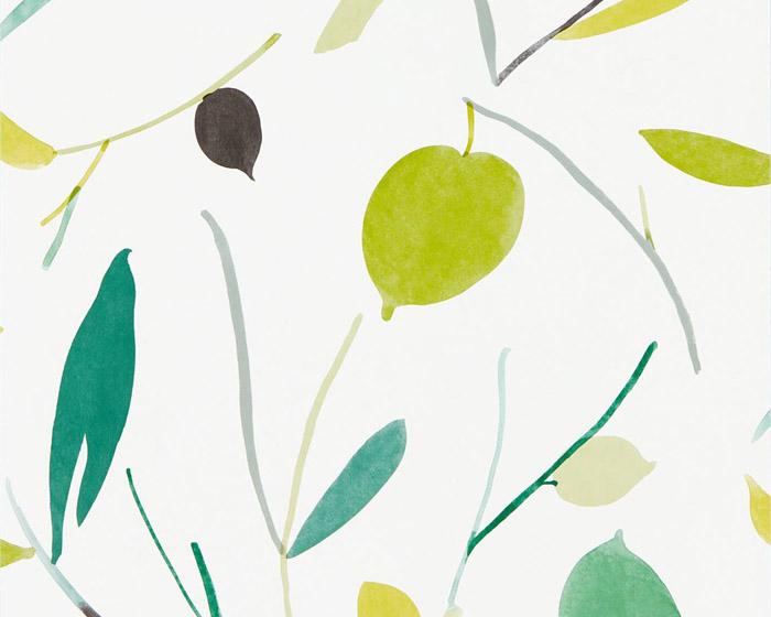 Scion Oxalis Kiwi/Juniper 111994 Wallpaper