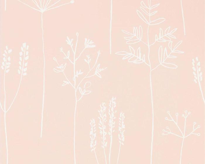 Scion Stipa Blush 112018 Wallpaper
