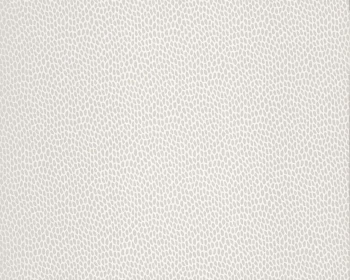 Paint & Paper Library Seedpod Salt Wallpaper